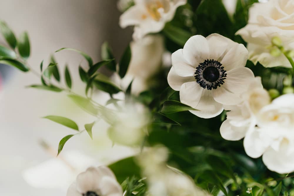 Image by <a class="text-p3" href="http://www.ruby-roux.com" target="_blank">Ruby Roux Photography</a>.