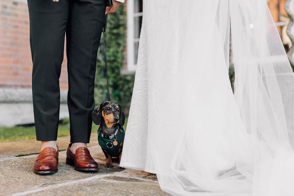 Image by <a class="text-p3" href="https://www.carlawhittingham.co.uk" target="_blank">Carla Whittingham Photography</a>.