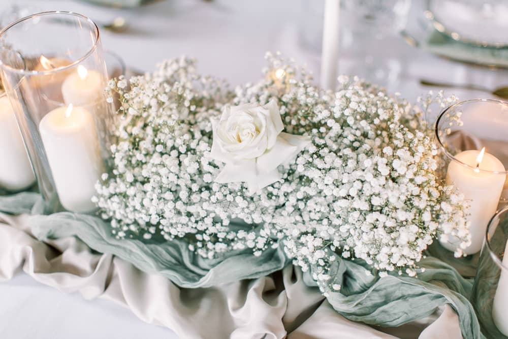 Image by <a class="text-p3" href="http://www.irisandivyphotography.com/" target="_blank">Iris & Ivy Photography</a>.