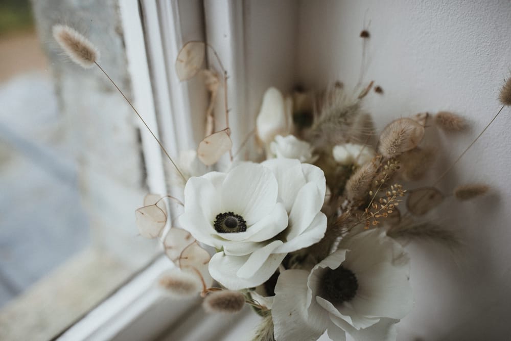 Image by <a class="text-p3" href="https://ashpowell.com" target="_blank">Ash Powell Photography</a>.