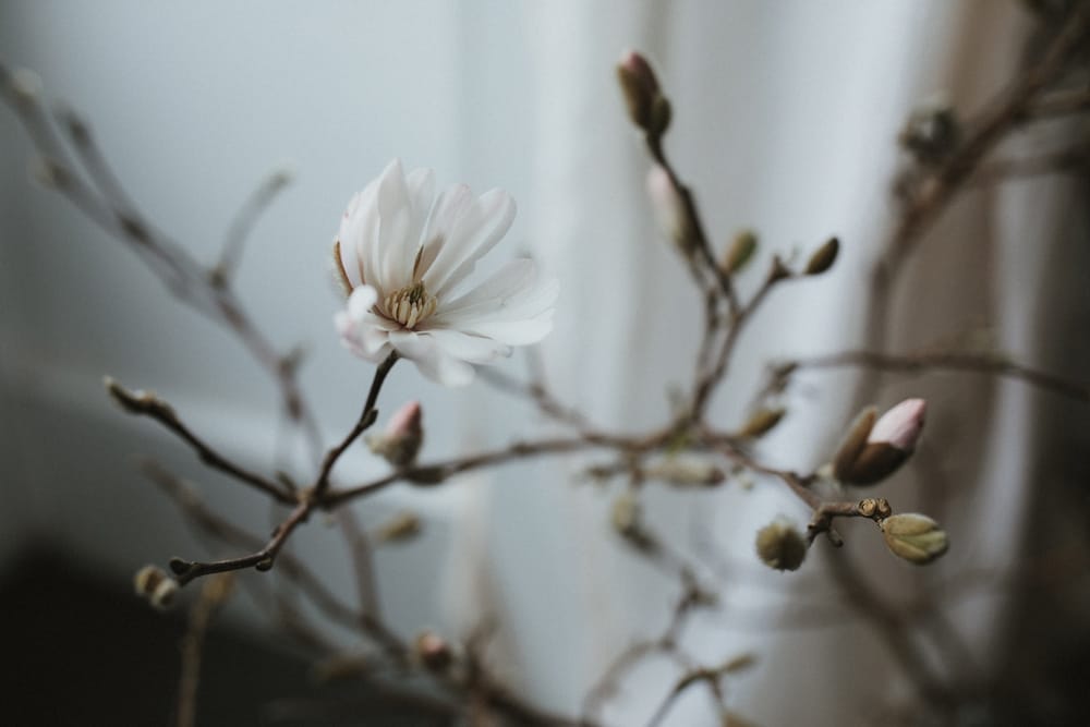 Image by <a class="text-p3" href="https://ashpowell.com" target="_blank">Ash Powell Photography</a>.