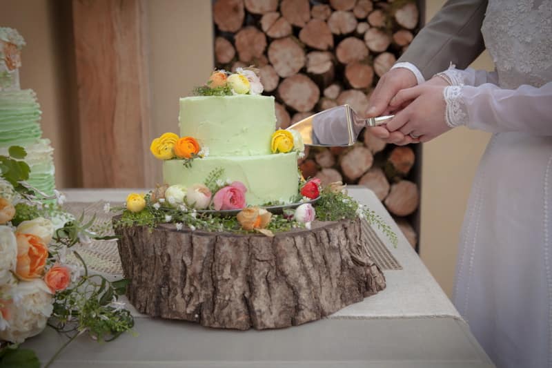 Image by <a class="text-p3" href="http://www.frecklephotography.co.uk" target="_blank">Freckle Photography</a>.