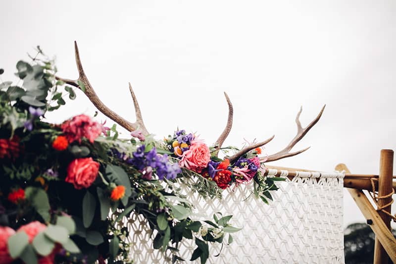 Image by <a class="text-p3" href="http://cargocollective.com/darinastoda" target="_blank">DS Photography</a>.