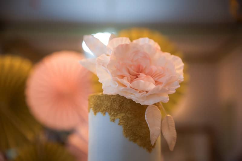 Image by <a class="text-p3" href="http://www.rocksaltphotography.com" target="_blank">Rocksalt Photography</a>.