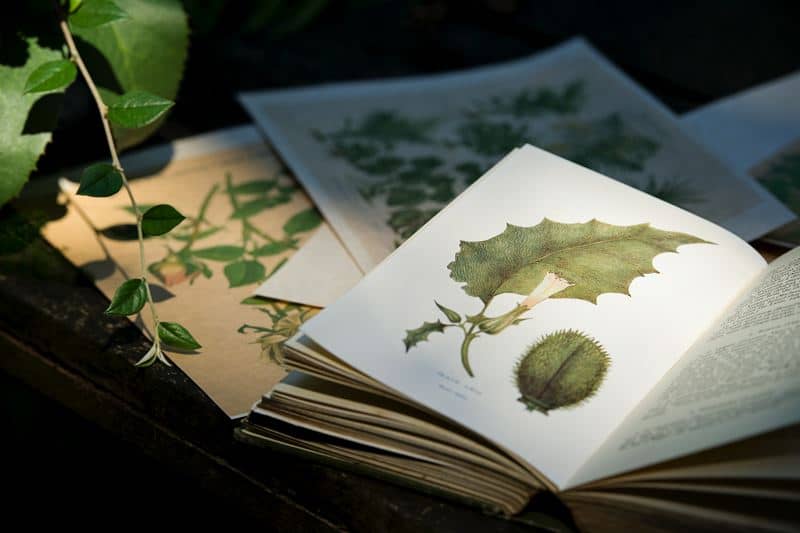 Image by <a class="text-p3" href="http://www.swantonmorleystudios.co.uk" target="_blank">Swanton Morley Studios</a>.