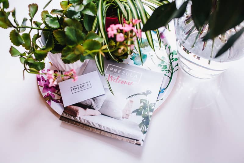 Image by <a class="text-p3" href="http://heartfulloftea.com" target="_blank">Heart Full of Tea</a>.