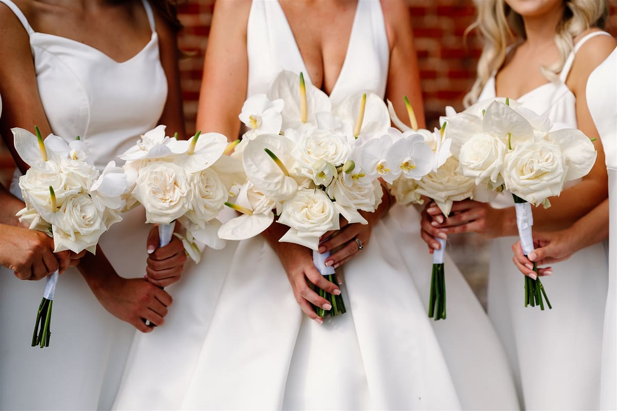 Image by <a class="text-p3" href="http://www.andydavison.com" target="_blank">Andy Davison Photography</a>.