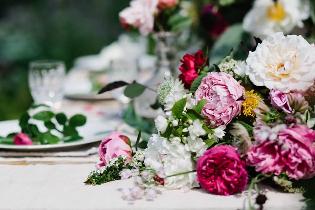 Image by <a class="text-p3" href="http://www.jadeosbornephotography.com" target="_blank">Jade Osborne Photography</a>.