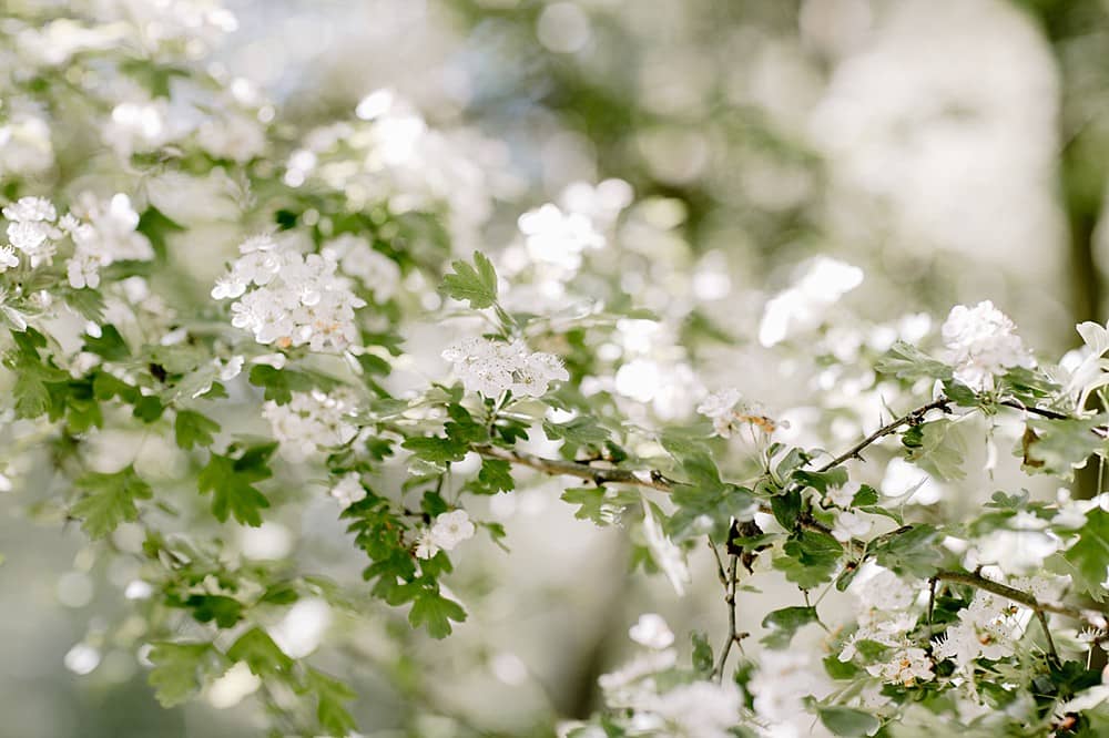 Image by <a class="text-p3" href="http://www.rebeccagoddardphotography.com" target="_blank">Rebecca Goddard Photography</a>.