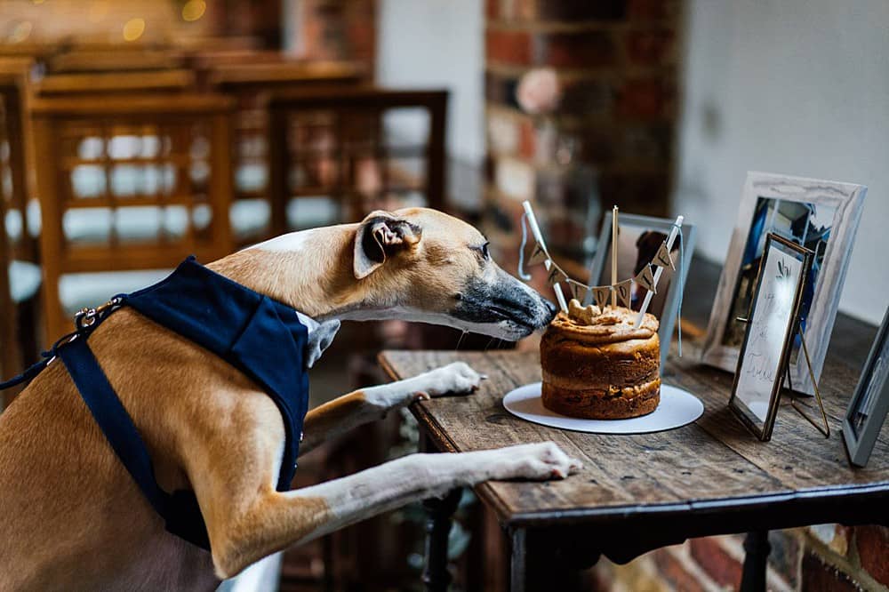 Image by <a class="text-p3" href="https://www.aaroncollettphotography.co.uk" target="_blank">Aaron Collett Photography</a>.