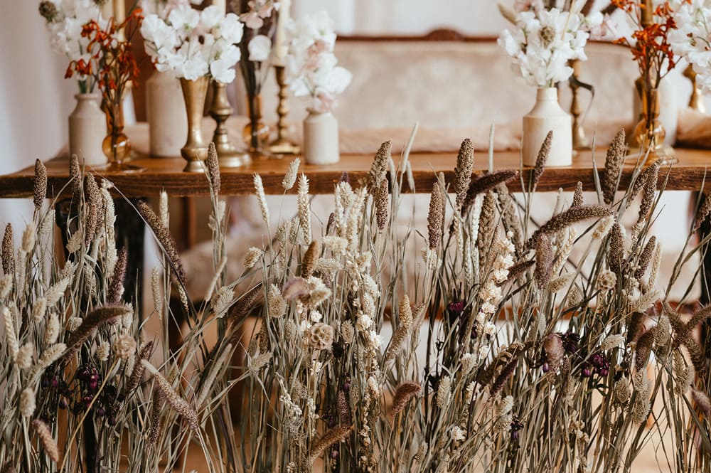 Image by <a class="text-p3" href="https://eloisepitcherphotography.co.uk/" target="_blank">Eloise Pitcher Photography</a>.
