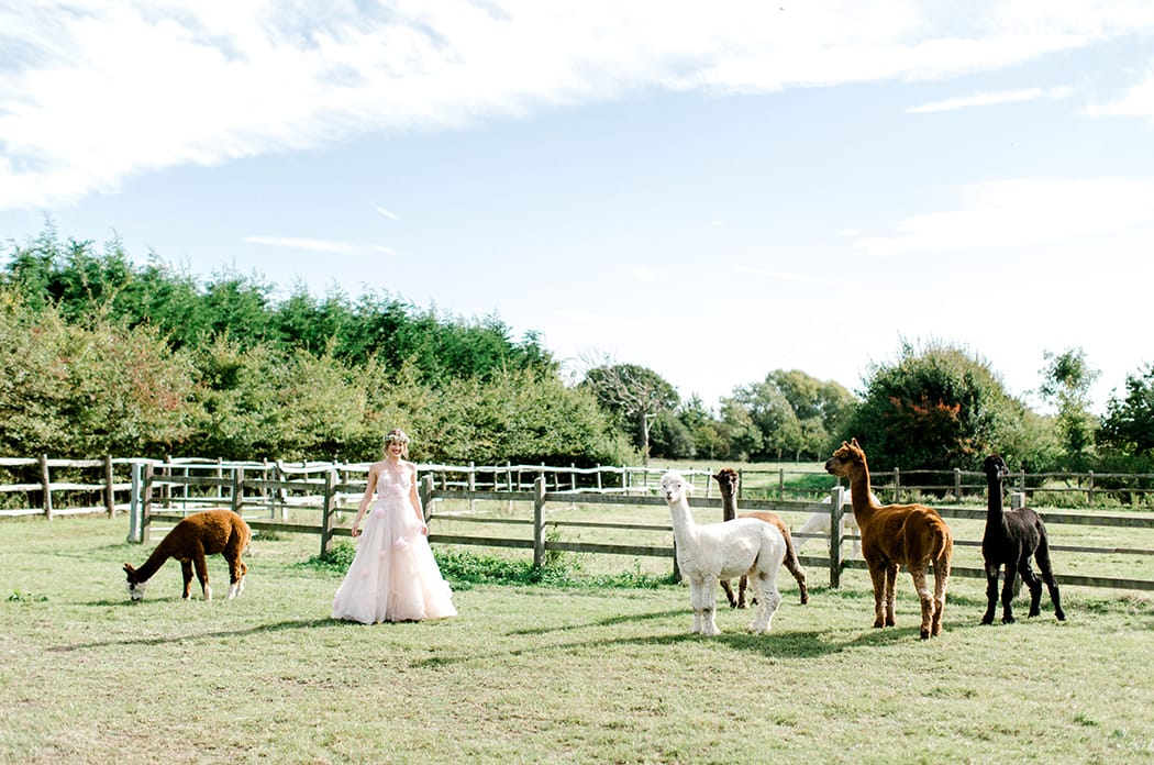 Image by <a class="text-p3" href="https://www.helencawte.com" target="_blank">Helen Cawte Photography</a>.