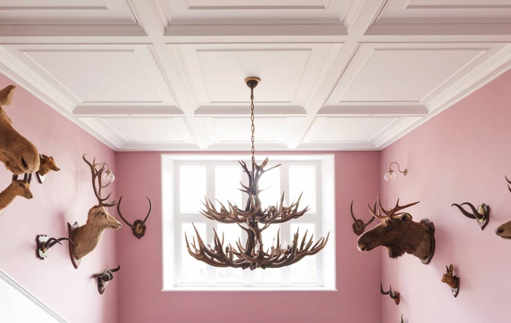 Image courtesy of Paschoe House.