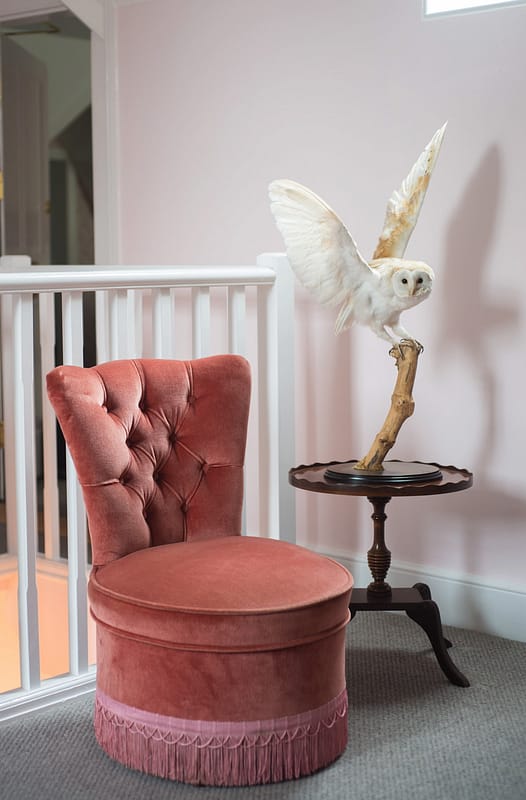 Image courtesy of Paschoe House.
