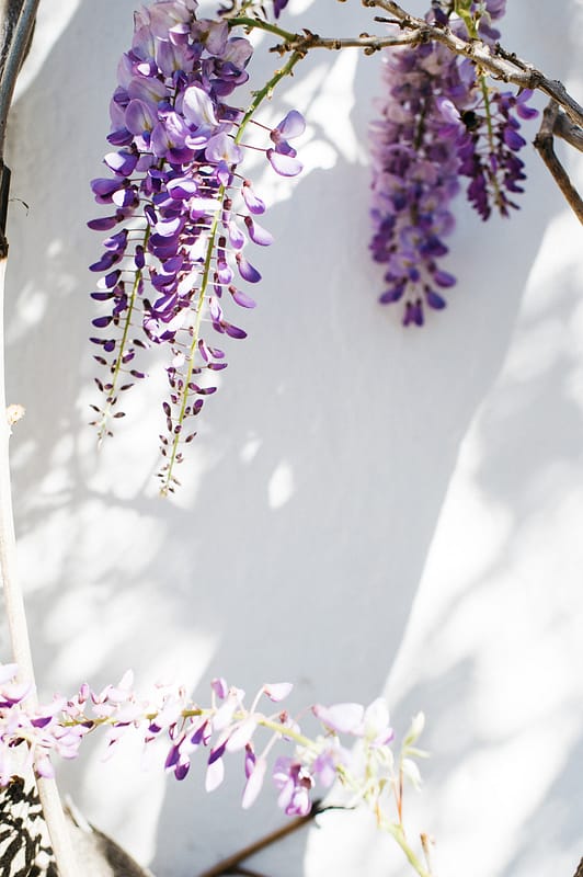 Image by <a class="text-p3" href="http://agatajensen.com" target="_blank">Agata Jensen</a>.