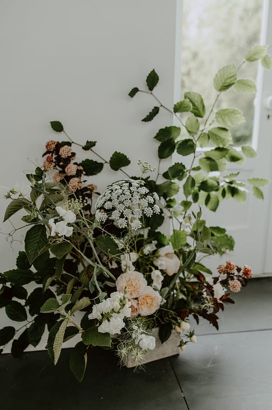 Image by <a class="text-p3" href="https://lyraandmoth.co.uk" target="_blank">Lyra & Moth</a>.