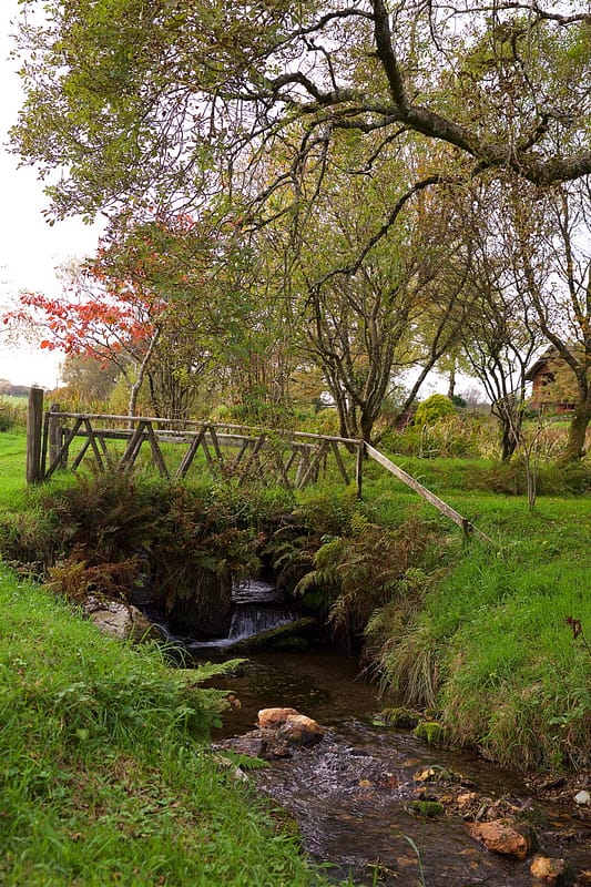 Image by <a class="text-p3" href="http://www.emmajaneleephotography.co.uk" target="_blank">Emma Jane Lee Photography</a>.