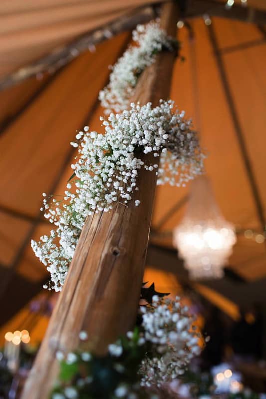 Image by <a class="text-p3" href="http://www.sarahlaurenphotography.com" target="_blank">Sarah Lauren Photography</a>.
