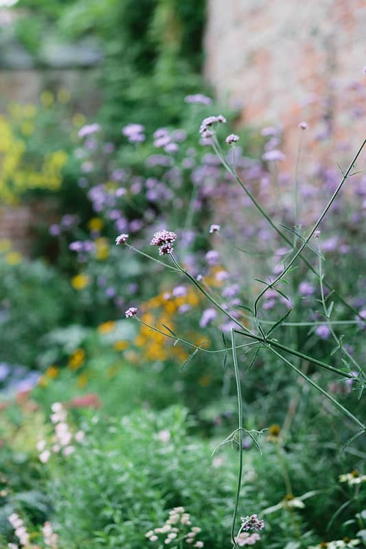 Image by <a class="text-p3" href="http://www.jadeosbornephotography.com" target="_blank">Jade Osborne Photography</a>.