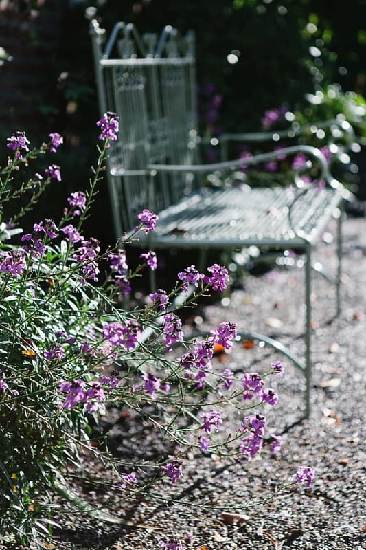 Image by <a class="text-p3" href="http://www.jadeosbornephotography.com" target="_blank">Jade Osborne Photography</a>.
