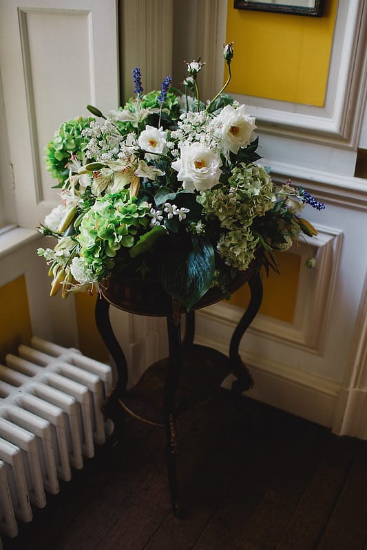 Image by <a class="text-p3" href="http://www.enekastewart.com" target="_blank">Eneka Stewart Photography</a>.