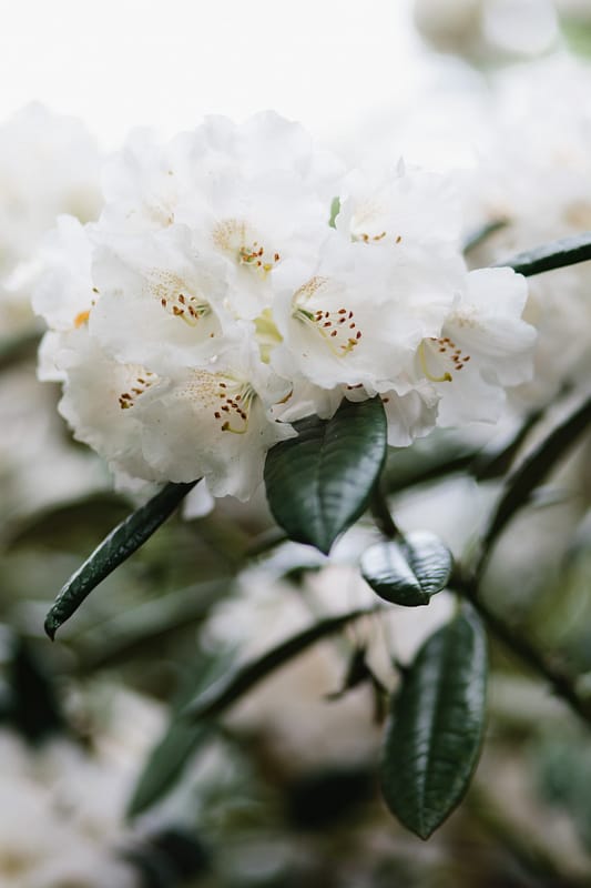 Image by <a class="text-p3" href="http://www.jadeosbornephotography.com" target="_blank">Jade Osborne Photography</a>.