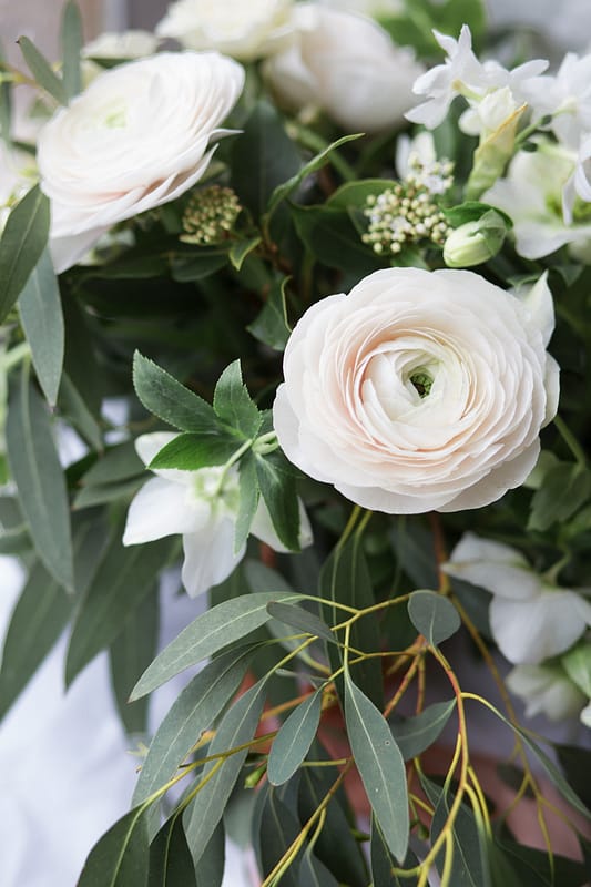 Image by <a class="text-p3" href="http://helenwarner.co.uk" target="_blank">Helen Warner Photography</a>.