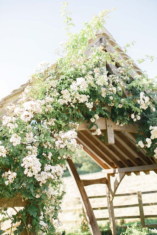 Image by <a class="text-p3" href="http://www.whitestagweddings.com" target="_blank">White Stag Wedding Photography</a>.