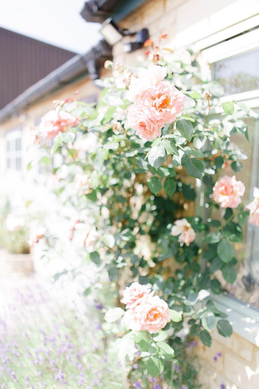 Image by <a class="text-p3" href="http://www.whitestagweddings.com" target="_blank">White Stag Wedding Photography</a>.