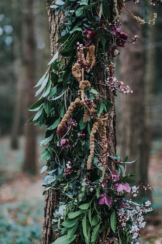 Image by <a class="text-p3" href="http://www.nicoladixonphotography.com" target="_blank">Nicola Dixon Photography</a>.
