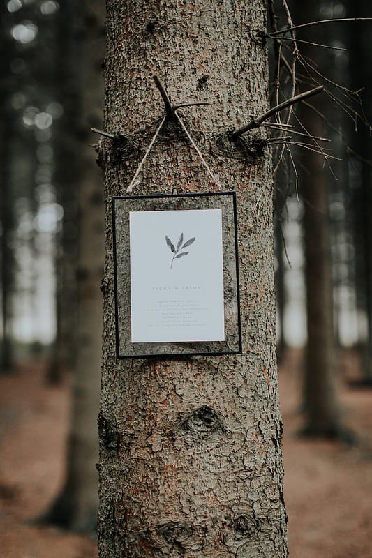 Image by <a class="text-p3" href="http://www.nicoladixonphotography.com" target="_blank">Nicola Dixon Photography</a>.