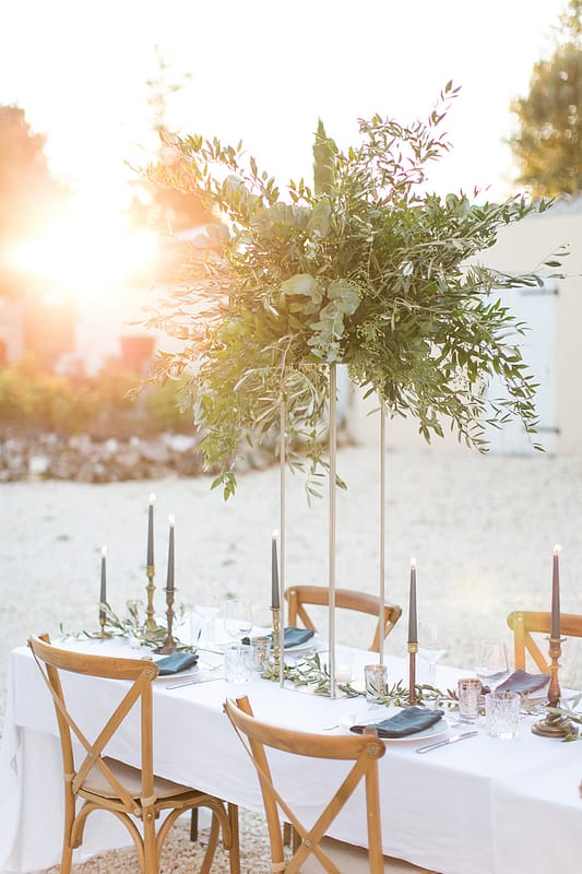 Image by <a class="text-p3" href="http://www.annelimarinovich.com" target="_blank">Anneli Marinovich Photography</a>.