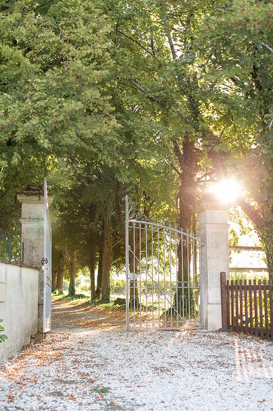Image by <a class="text-p3" href="http://www.annelimarinovich.com" target="_blank">Anneli Marinovich Photography</a>.