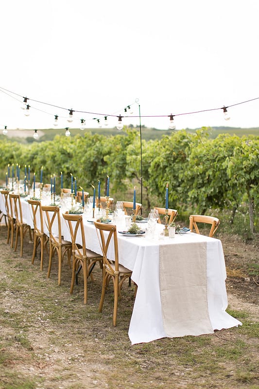 Image by <a class="text-p3" href="http://www.annelimarinovich.com" target="_blank">Anneli Marinovich Photography</a>.