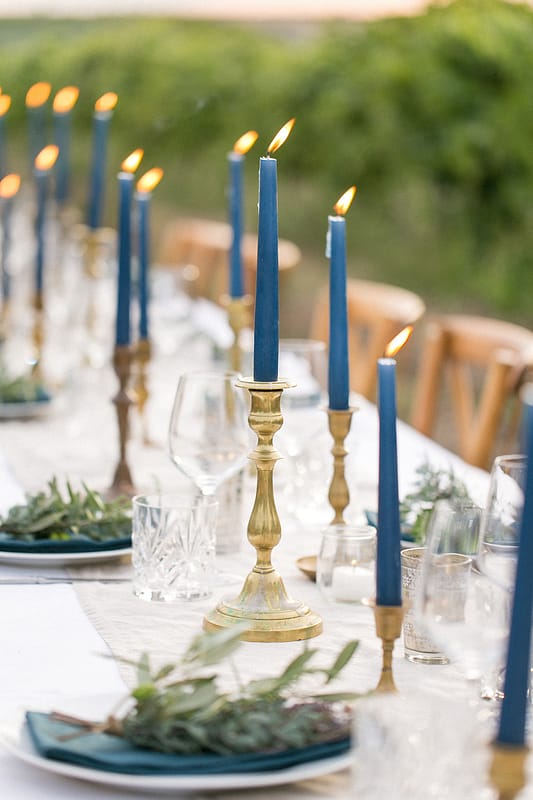 Image by <a class="text-p3" href="http://www.annelimarinovich.com" target="_blank">Anneli Marinovich Photography</a>.