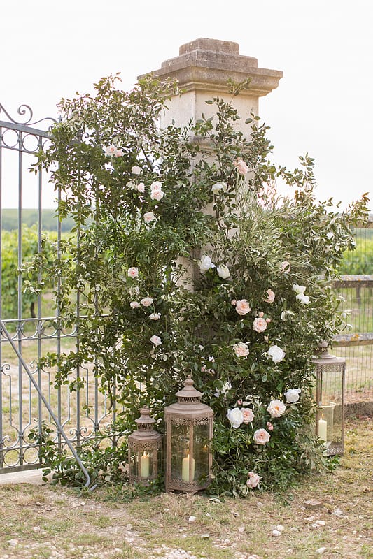 Image by <a class="text-p3" href="http://www.annelimarinovich.com" target="_blank">Anneli Marinovich Photography</a>.