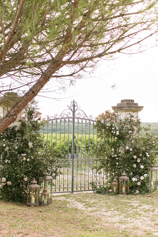Image by <a class="text-p3" href="http://www.annelimarinovich.com" target="_blank">Anneli Marinovich Photography</a>.