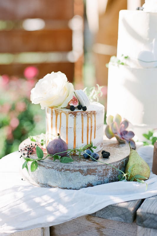 Image by <a class="text-p3" href="https://www.helencawte.com" target="_blank">Helen Cawte Photography</a>.