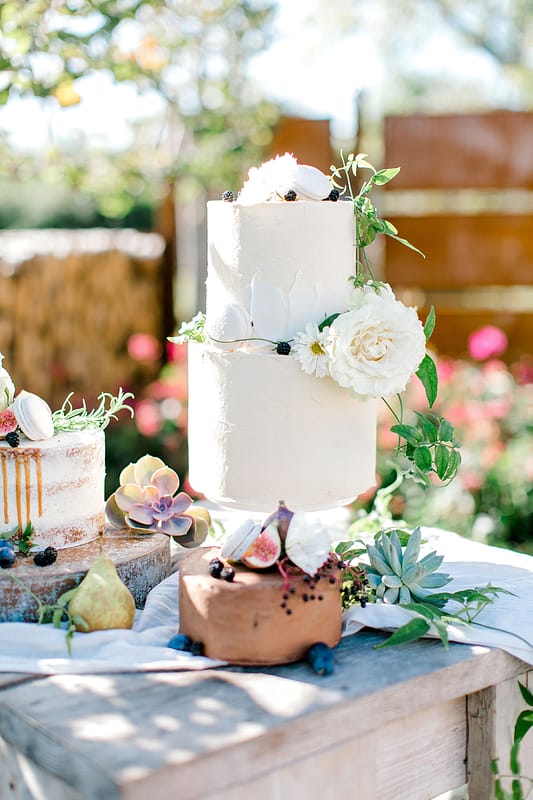 Image by <a class="text-p3" href="https://www.helencawte.com" target="_blank">Helen Cawte Photography</a>.