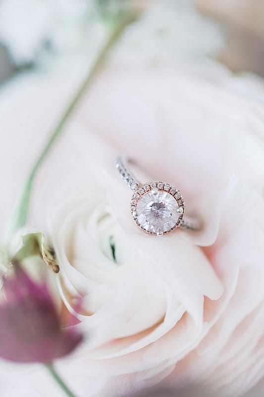Image by <a class="text-p3" href="https://www.charlottewisephotography.co.uk" target="_blank">Charlotte Wise Fine Art Photography</a>.