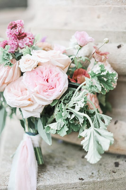 Image by <a class="text-p3" href="https://www.charlottewisephotography.co.uk" target="_blank">Charlotte Wise Fine Art Photography</a>.