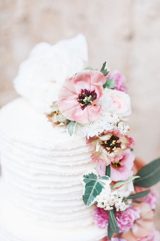 Image by <a class="text-p3" href="https://www.charlottewisephotography.co.uk" target="_blank">Charlotte Wise Fine Art Photography</a>.