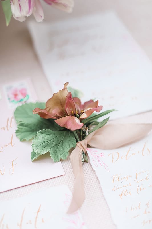 Image by <a class="text-p3" href="https://www.charlottewisephotography.co.uk" target="_blank">Charlotte Wise Fine Art Photography</a>.