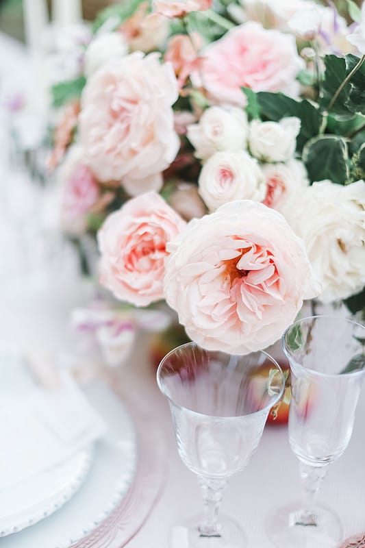 Image by <a class="text-p3" href="https://www.charlottewisephotography.co.uk" target="_blank">Charlotte Wise Fine Art Photography</a>.