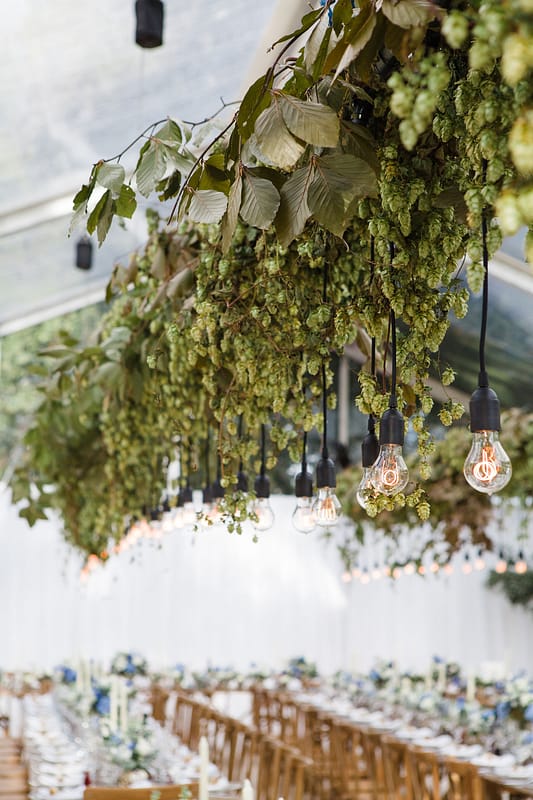 Image by <a class="text-p3" href="http://www.lucydavenport.co.uk" target="_blank">Lucy Davenport Photography</a>.