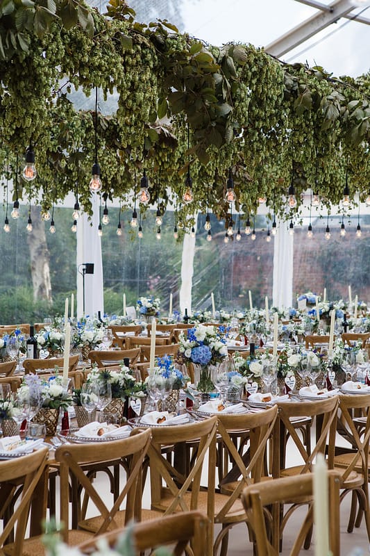 Image by <a class="text-p3" href="http://www.lucydavenport.co.uk" target="_blank">Lucy Davenport Photography</a>.