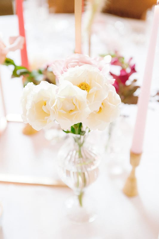 Image by <a class="text-p3" href="https://www.jenniferjanephotography.co.uk" target="_blank">Jennifer Jane Photography</a>.