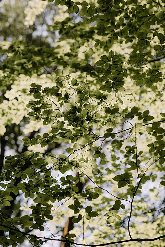 Image by <a class="text-p3" href="http://www.rebeccagoddardphotography.com" target="_blank">Rebecca Goddard Photography</a>.
