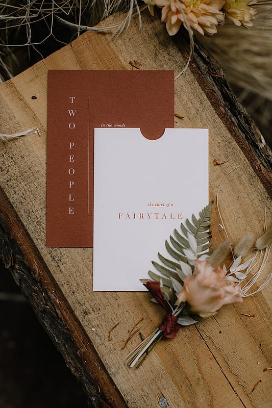 Image by <a class="text-p3" href="http://www.rebeccagoddardphotography.com" target="_blank">Rebecca Goddard Photography</a>.