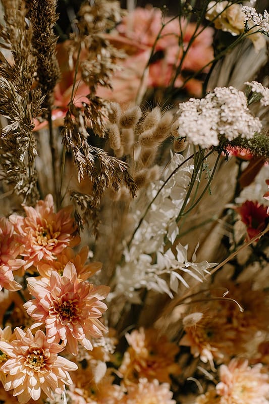 Image by <a class="text-p3" href="http://www.rebeccagoddardphotography.com" target="_blank">Rebecca Goddard Photography</a>.
